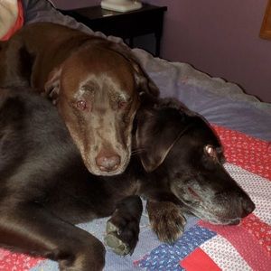 Meet your Posher, Riley